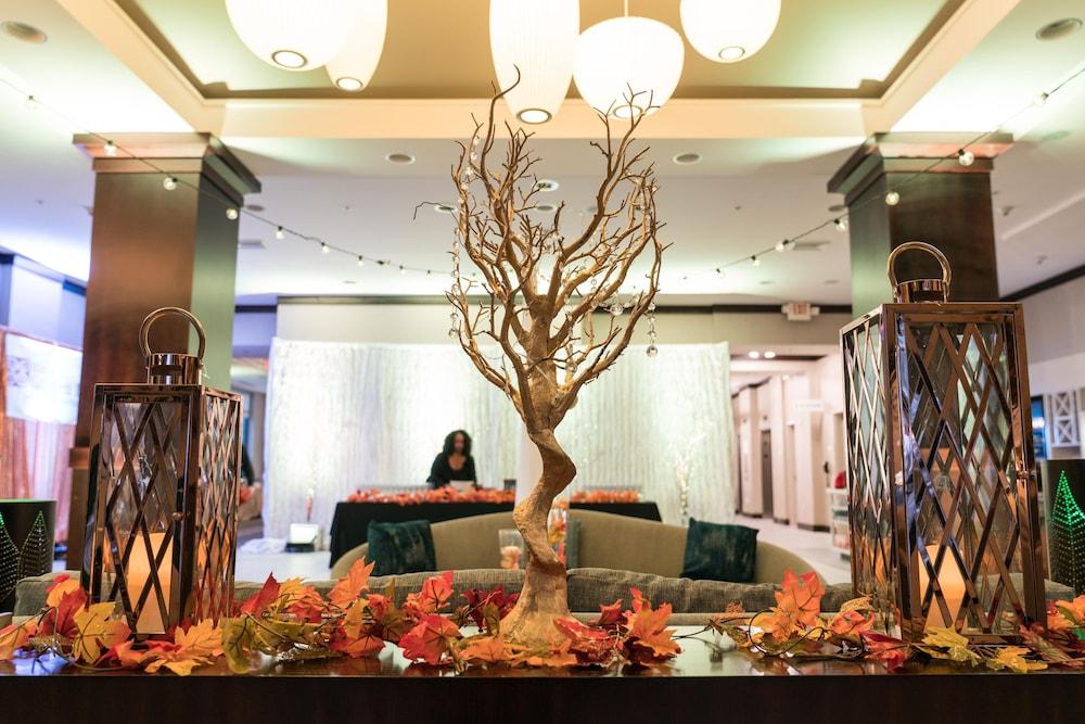 Hilton Garden Inn Shirlington Арлингтон Экстерьер фото